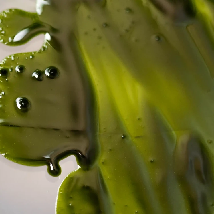 olej-matcha-z-bliska-2.webp